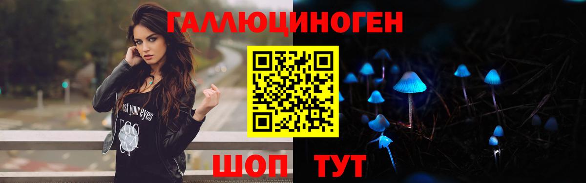 Городец  Галлюциногенные грибы GOLDEN TEACHER  магазин продажи   Вход с VPN 